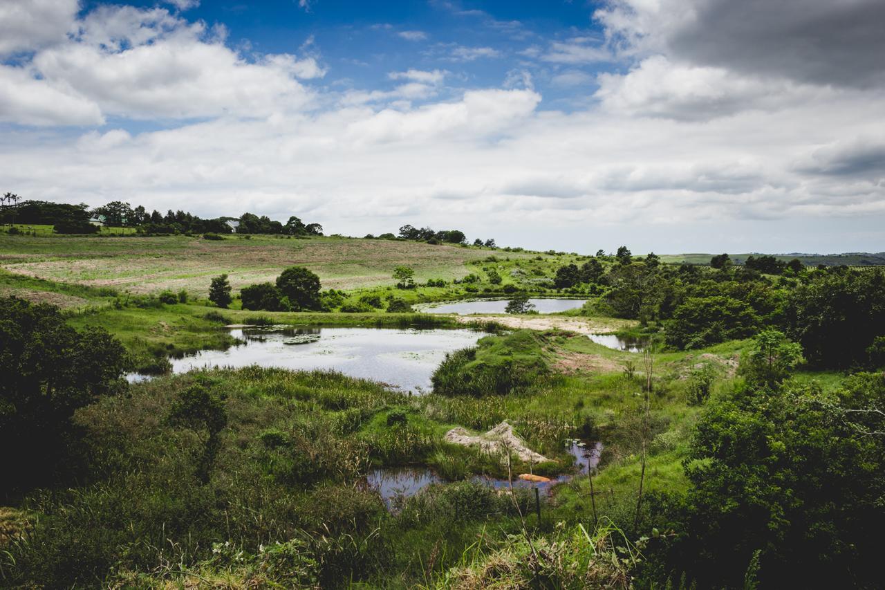 Oribi Gorge Guest Farm Hotel Glendale ภายนอก รูปภาพ